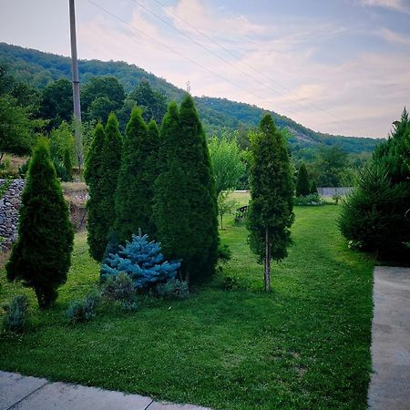Taverna Gradetului Schitu Topolnitei Exterior foto