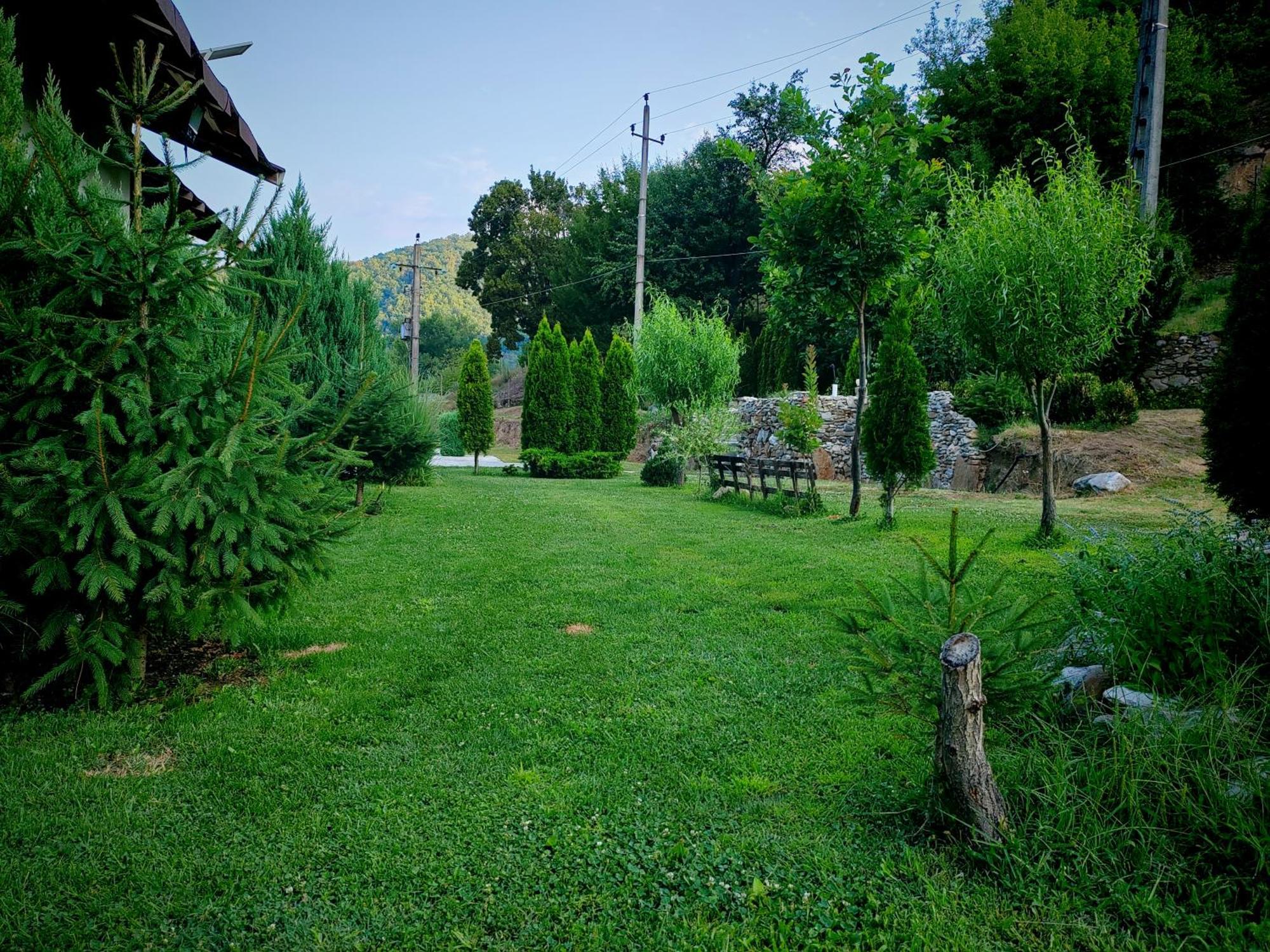 Taverna Gradetului Schitu Topolnitei Exterior foto